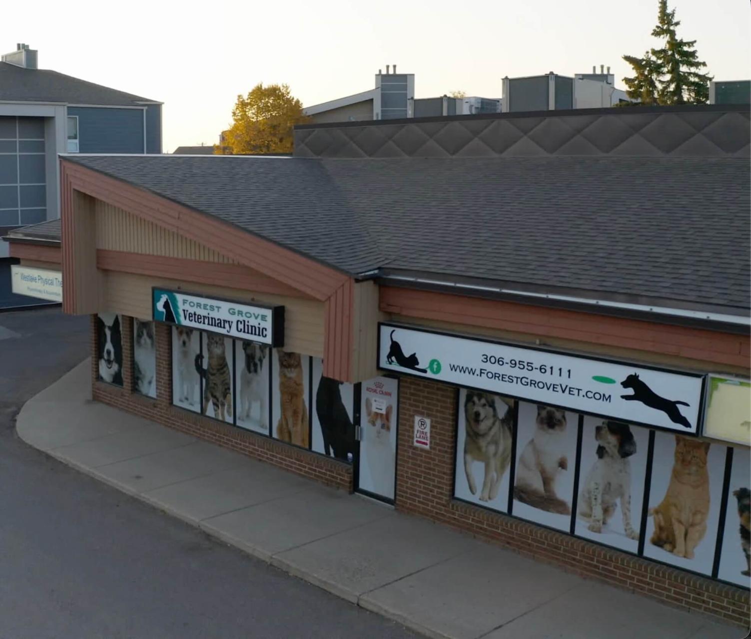 Veterinary hospital in Saskatoon