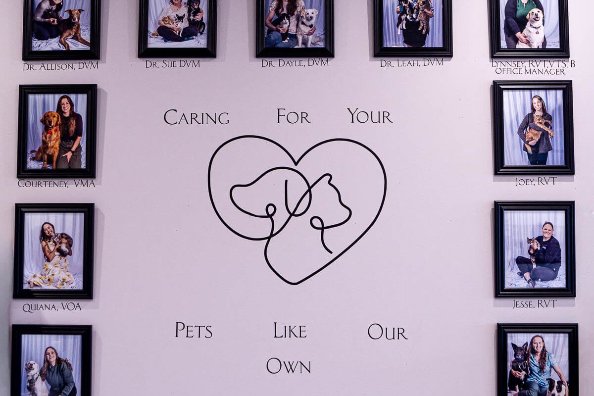 Staff photo wall