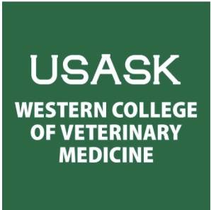 University of Saskatchewan